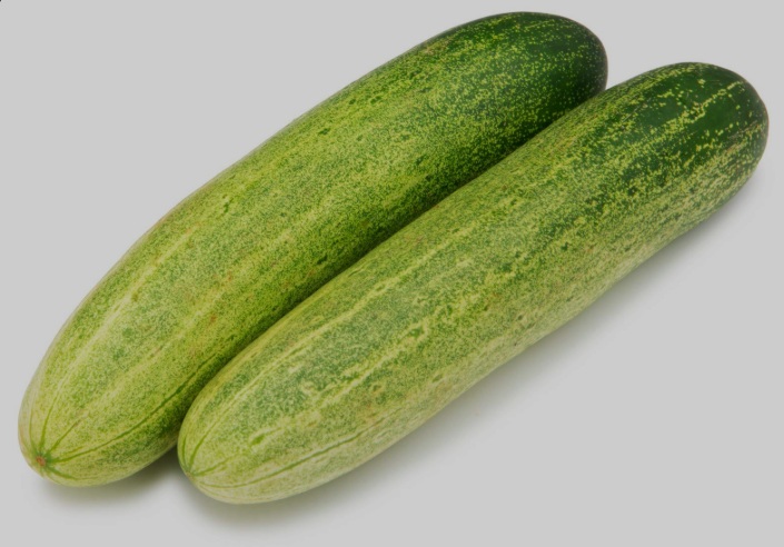 Cucumber Fresh